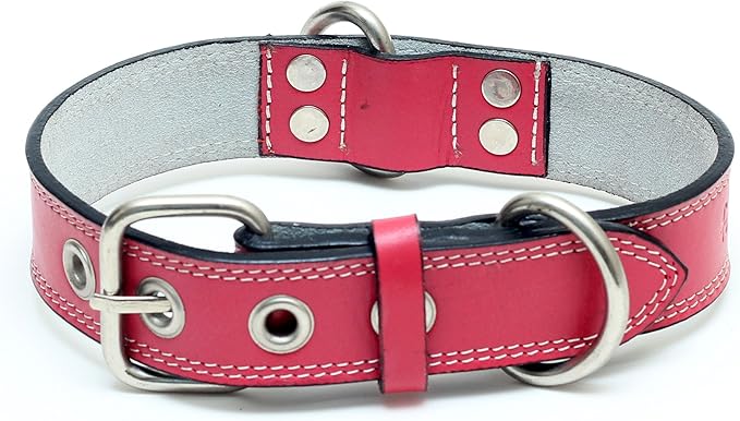 Premium Leather Collars with Stainless Steel Buckles (21"-24", Pink)