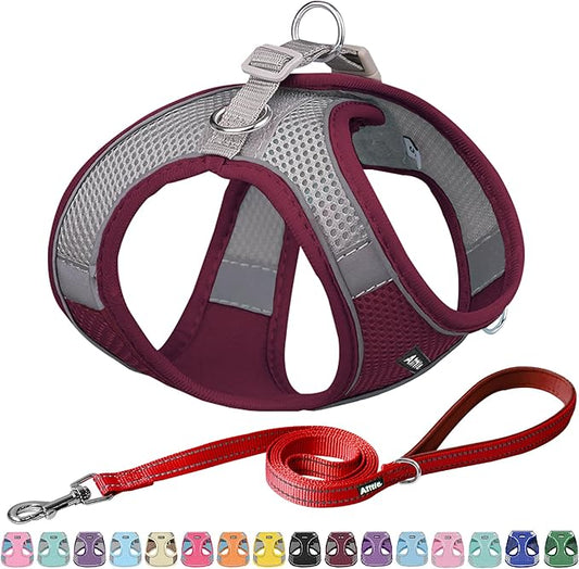AIITLE Small Harness for Puppy with A Leash - Spring Dog Vest Harness with Super Breathable Mesh, Reflective No-Pull Pet Harness for Outdoor Walking, Camping for Small Dogs, Cats Burgundy XXS