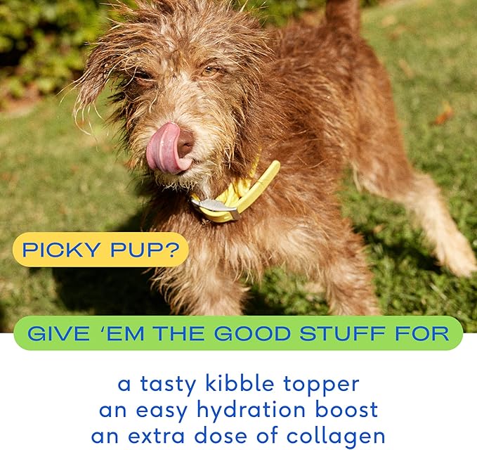 Native Pet Bone Broth for Dogs and Cats – Chicken Broth for Cats & Dogs - Dog Bone Broth Powder, Dog Food Topper for Picky Eaters - Dog Gravy Topper for Dry Food – Dog Broth & Cat Broth – 5.75 oz