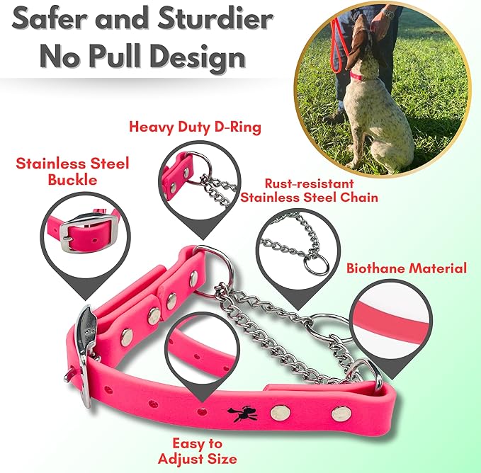 Martingale Collar for Dogs, Biothane, Stainless Steel Hardware, No Pull, Made in The USA, Professional Grade, Large, Pink