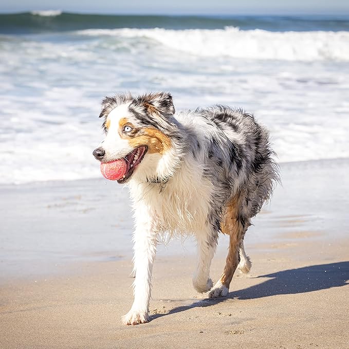 Hyper Pet Tennis Balls for Dogs (Pet Safe Dog Tennis Ball for Exercise and Training, Interactive Toys work with Hyper Pet K9 Kannon K2 Launcher - 4 Pack 2.5" Pink