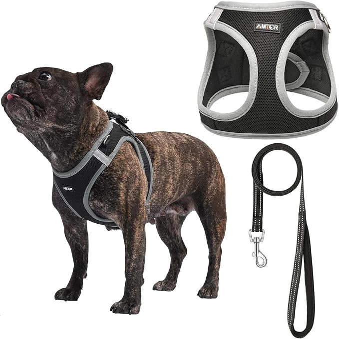 AMTOR Small Dog Harness with Leash Set, No Escape Easy Walk Puppy Harnesses for Training Walking, Step-in Reflective Soft Dogs Vest for XS S Medium Extra-Small Large Sized Dog(Black/Grey)