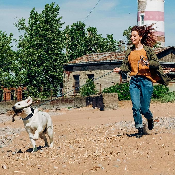 Rttochfy Martingale Dog Collars, Adjustable Nylon Dog Collar with Quick Release Buckle, No Choke Dog Training Collar for Small Medium Large Dogs (Pink, M)