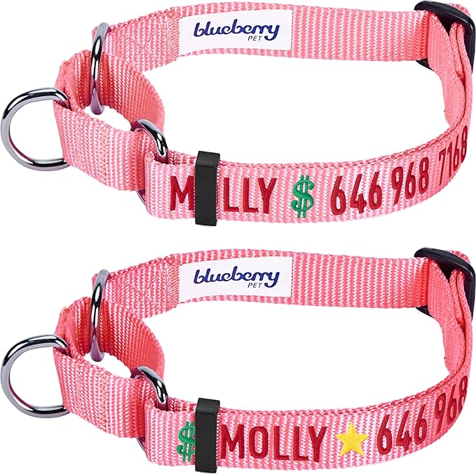 Blueberry Pet Essentials Personalized Martingale Safety Training Dog Collar, Baby Pink, Small, Adjustable Customized ID Collars for Dogs Embroidered with Pet Name & Phone Number