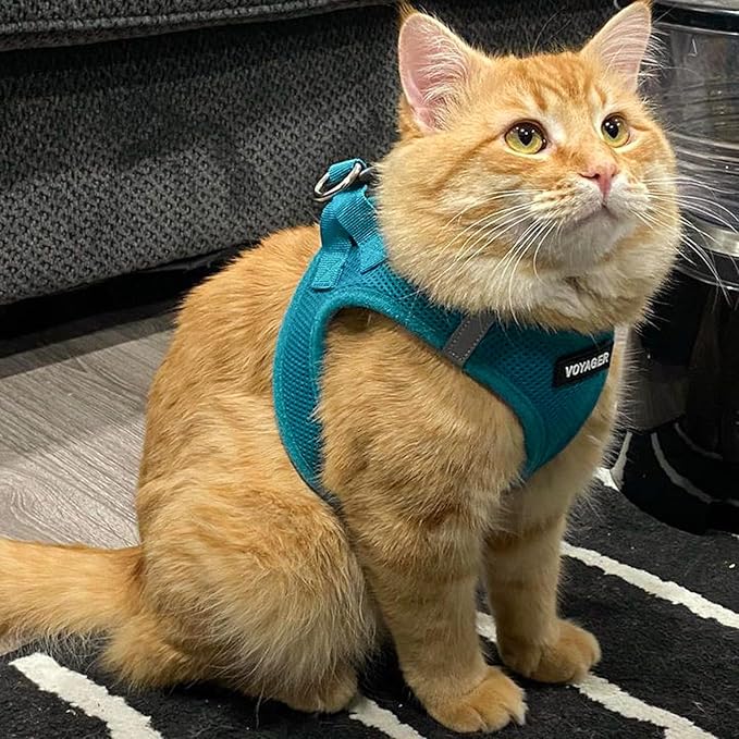 Voyager Step-in Air Dog Harness - All Weather Mesh, Reflective, No Pull Harness for Small, Medium Dogs, Cats - Secure with Hook & Loop Fastener, Buckle, Double D-Rings - Turquoise, M