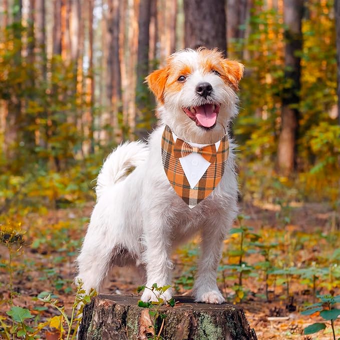 ADOGGYGO Fall Dog Tuxedo Bandana, Orange Plaid Pet Tux Collar with Bowtie, Adjustable Halloween Thanksgiving Formal Costume for Extra Small Dogs Pets (XS)
