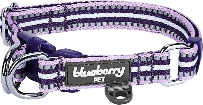 Blueberry Pet 3M Reflective Dog Collars | Adjustable Dog Collar w/Multi-Colored Stripe - Orchid and Lavender | Nylon Pet Collars for Dogs & Refflective Dog Collar for Large Dogs