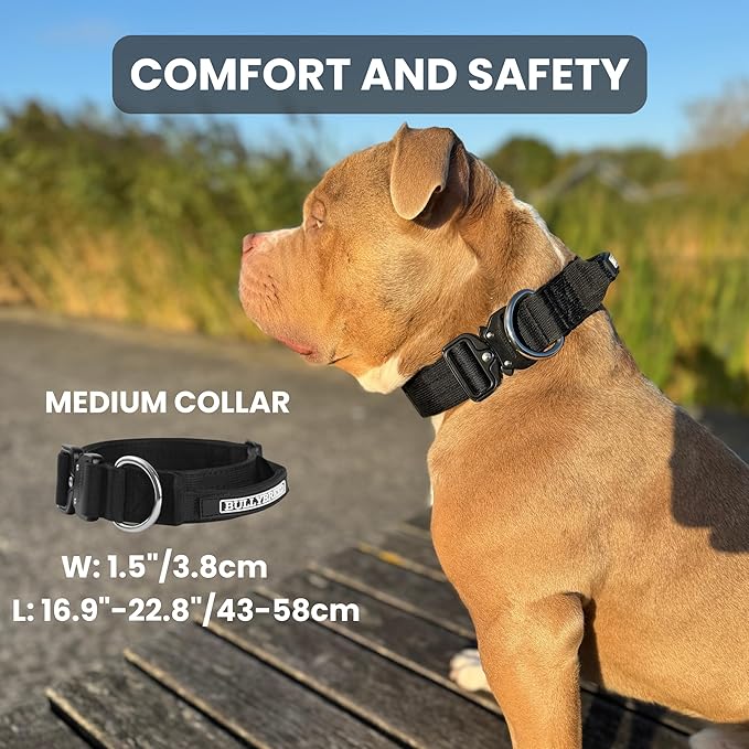BULLYBREED Premium Dog Colar with Handle, Heavy Duty Dog Collar, Tactical Dog Collar, Quick-Release Metal Buckle, Thick Dog Collar, Dog Collar for Medium Dogs, Dog Collar for Large Dogs (Green, M)
