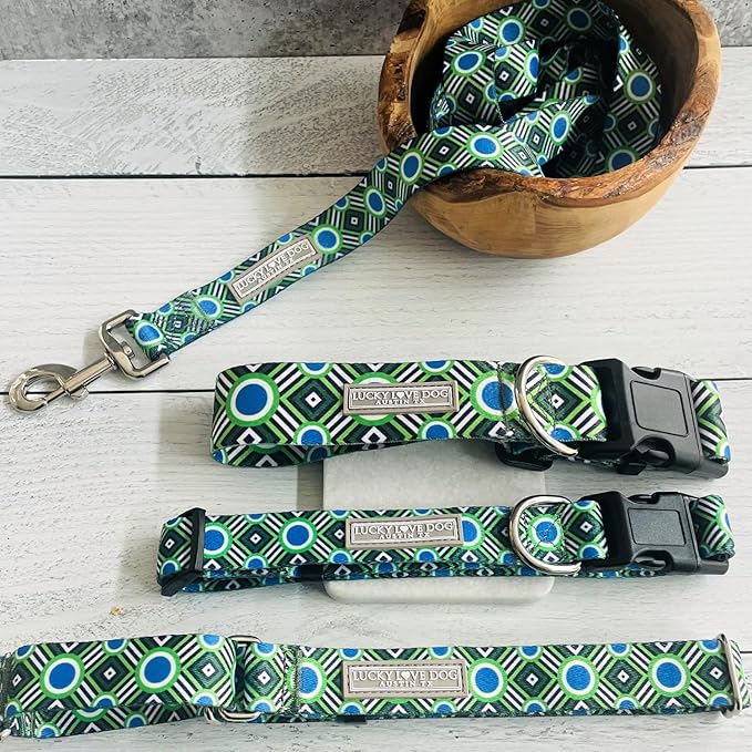 Lucky Love Dog Combo Set, Big Dog Collar & Leash Set for Large Dogs, Colorful Matching Collar and Leash Set for Girl or Boy Dogs, Stripes, Leo Combo, Large