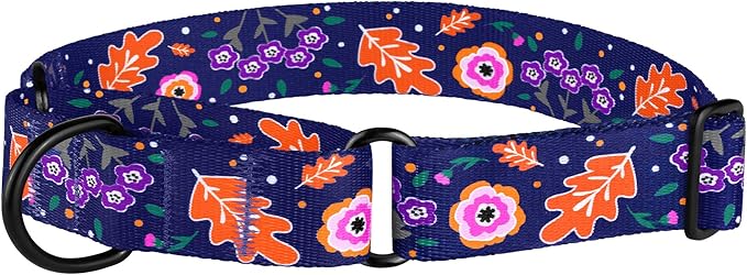 CollarDirect Martingale Collars for Dogs Heavy Duty Floral Pattern Female Safety Nylon Training Wide Collar Flower Design Large Medium (M, Neck Size 12"-17", Navy Blue)