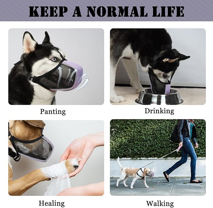 Mayerzon Dog Muzzle, Patented Mesh Soft Muzzle for Large Medium Small Dogs for Scavenging Grooming Biting Chewing, Breathable Reflective Doberman Husky Muzzle with Collar for Labrador Retriever Poodle