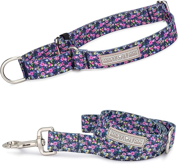 Lucky Love Dog Martingale Collar and Leash Set, Premium No Slip Collar for Large Dogs, Flower Martingale Collar for Girl Dogs, Great for Whippets, Greyhounds, and More (Primrose, Medium - Combo)