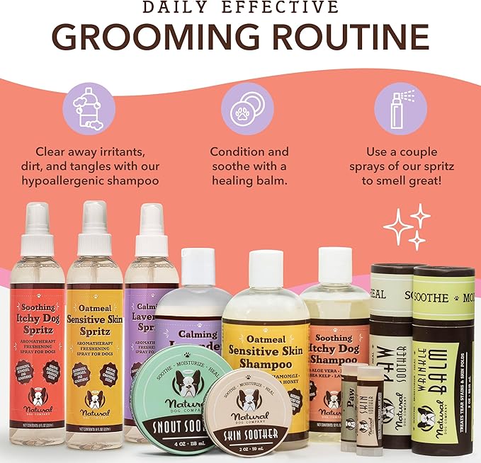 Natural Dog Company Itchy Dog Shampoo, 12 oz., Dog Dry Skin Treatment, Dog Itch Relief, Hypoallergenic, Plant Based Ingredients, Deodorizing Dog Shampoo, Relief from Skin Allergy Symptoms