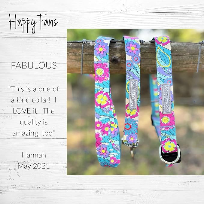 Lucky Love Dog Martingale Collar and Leash Set, Premium No Slip Martingale Collar for Dogs, Great for Whippets, Greyhounds, and More (Caroline, Small - Combo)