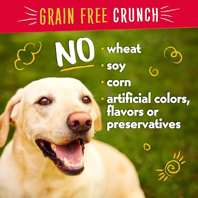 Charlee Bear Crunch Turkey, Sweet Potato & Cranberry Flavor Dog Treat and Snack (2 Pack) 8 oz Each