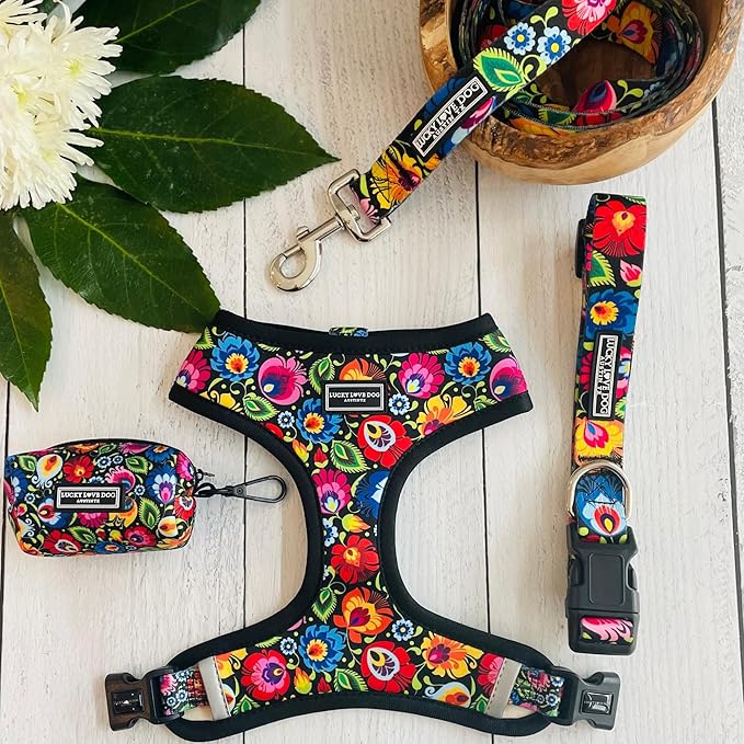 Lucky Love Dog - Adjustable Dog Collar with Easy Click Buckle for Small to Large Dogs, Durable, & Comfortable Collar for Male & Female Dogs, Pet Collar for Puppies & Adult Dogs - Blackbird, Small