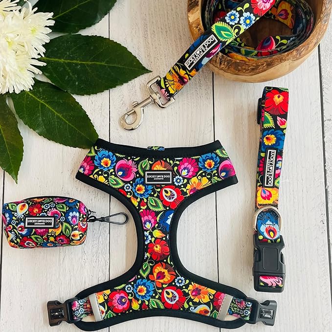 Lucky Love Dog - Easy Click Buckle Dog Collar with Leash Set Combo, Durable & Comfortable Collar for Male & Female Dogs, Pet Collar for Small to Large Dogs, Secure Fit - Blackbird Combo, Large