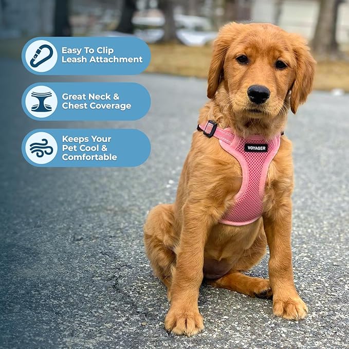 Best Pet Supplies Voyager Adjustable Dog Vest Harness Breathable No Pull Harness for Small, Medium, Large Dogs, Heavy Duty Harness for Walking, Jogging, Easy Step-in, Reflective Stripes - (Pink), XS