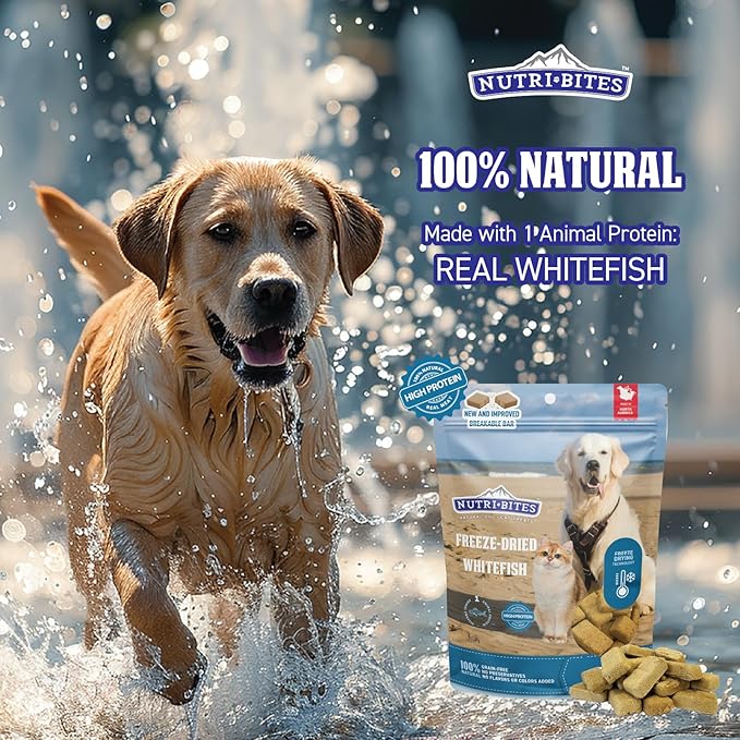 Nutri Bites Freeze Dried Whitefish Dog & Cat Treats 4 oz | Healthy Pet Training Treats or Food Topper | All Natural, High Protein | Great for Puppy, Small, Medium, or Large Breeds