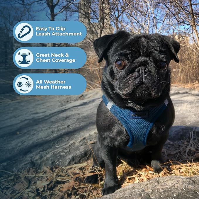 Voyager Step-in Air Dog Harness - All Weather Mesh, Reflective, No Pull Harness for Small, Medium Dogs, Cats - Secure with Hook & Loop Fastener, Buckle, Double D-Rings - Blue, XS