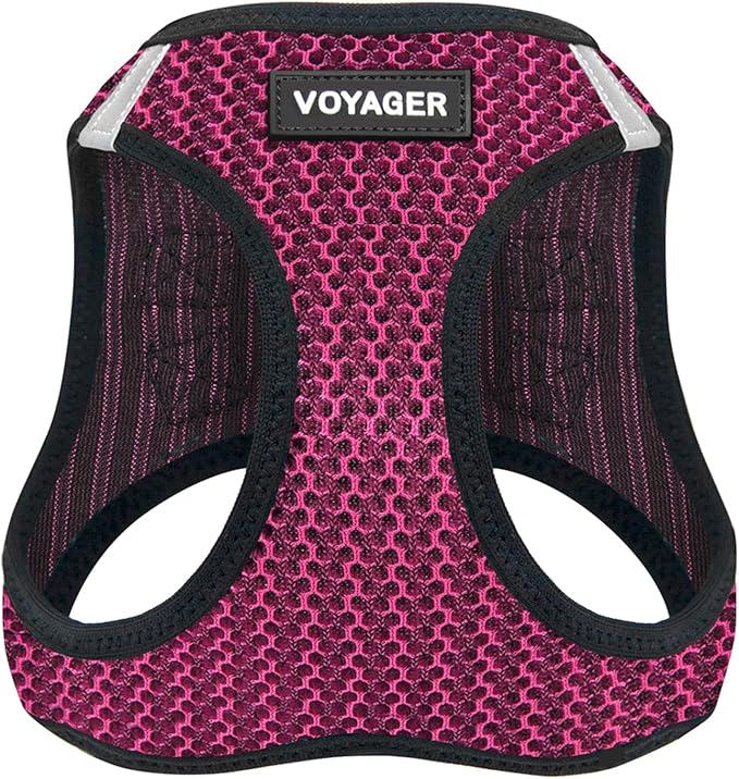 Voyager Step-in Air Dog Harness - All Weather Mesh, Reflective, No Pull Harness for Small, Medium Dogs, Cats - Secure with Hook & Loop Fastener, Buckle, Double D-Rings - Fuchsia 2-Tone, S