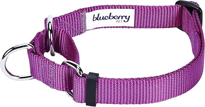 Blueberry Pet Essentials Martingale Safety Training Dog Collar, Violet, Large, Heavy Duty Nylon Adjustable Collars for Dogs