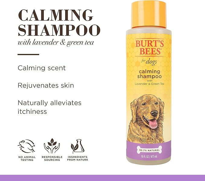 Burt's Bees for Pets Calming Dog Shampoo with Lavender and Green Tea, 95% Natural Origin Formulas, Soothing Canine Cleanser - Gentle Wash, 16 oz
