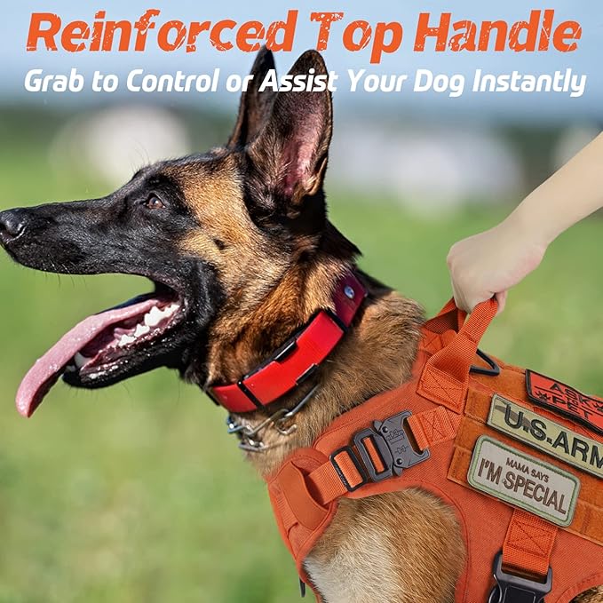 rabbitgoo Tactical Dog Harness for Large Dogs, Heavy Duty Dog Harness with Handle, No-Pull Service Dog Vest Large Breed, Adjustable Military Dog Vest Harness for Training Hunting Walking, Orange, XL