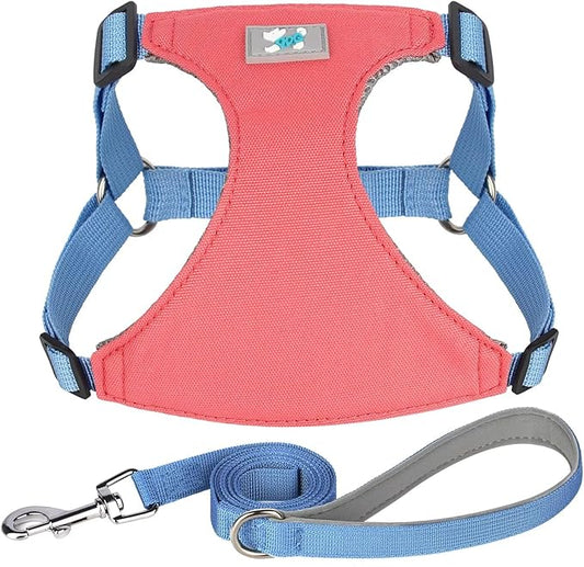 Beirui Small Dog Harness and Leash Set, No Pull Step-in Harness for Puppy, Lightweight Air Mesh Pet Harness for Small Dogs (Rose, XS)