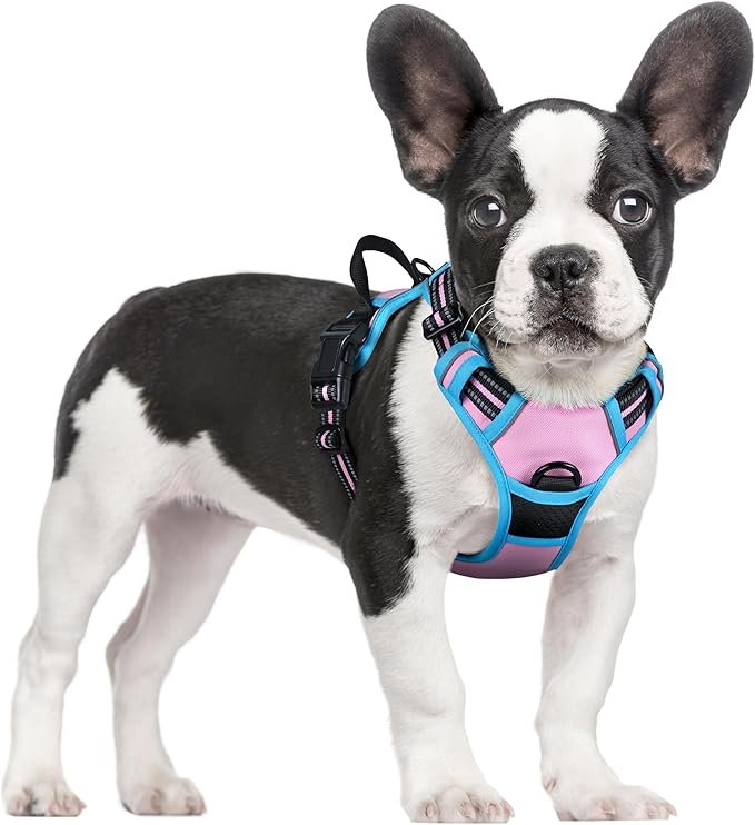 rabbitgoo Dog Harness, No-Pull Pet Harness with 2 Leash Clips, Adjustable Soft Padded Dog Vest, Reflective No-Choke Pet Oxford Vest with Easy Control Handle for Large Dogs, Pink & Blue, S