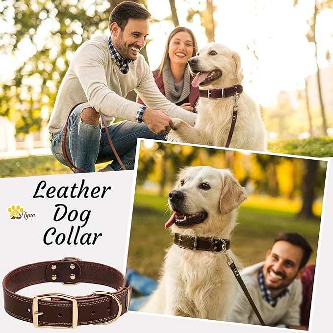 ADITYNA Heavy Duty Leather Dog Collar - Soft and Strong Leather Dog Collar for All Dog Breeds (Large: Fit 17" - 23" Neck, Brown - Gold Colored Buckle)