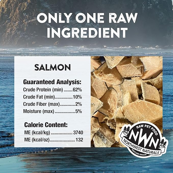 Northwest Naturals Raw Rewards Freeze-Dried Salmon Treats for Dogs and Cats - Bite-Sized Pieces - Healthy, 1 Ingredient, Human Grade Pet Food, All Natural - 2.5 Oz