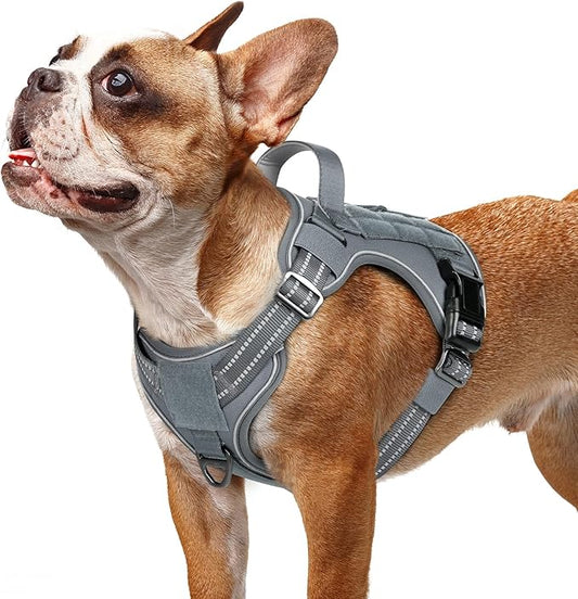 rabbitgoo Dog Harness Small Sized No Pull, Tactical Service Dog Vest with Molle and Control Handle, Adjustable and Reflective Military Pet Harness for Easy Walking and Training, Grey, S