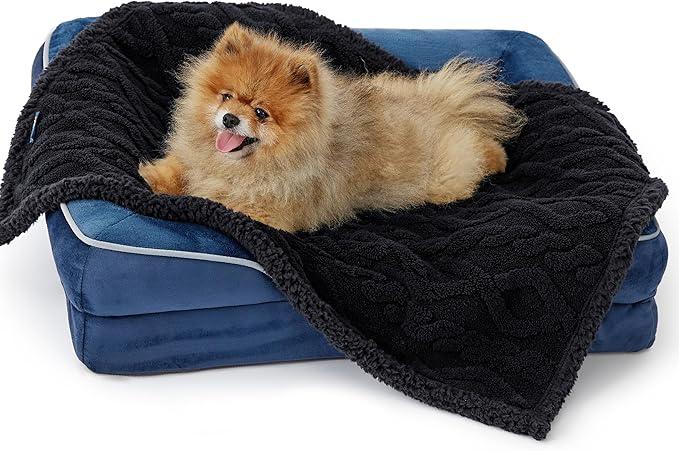 Bedsure Waterproof Dog Blankets for Small Dogs - Pet Blanket for Couch Protector Washable, Premium Jacquard Coral Fleece Cat Throw Blanket, Soft Plush Reversible Furniture Protection, 25"x35", Black