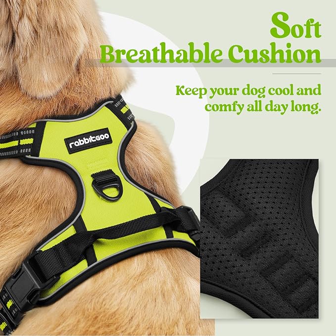 rabbitgoo Dog Harness, No-Pull Pet Harness with 2 Leash Clips, Adjustable Soft Padded Dog Vest, Reflective No-Choke Pet Oxford Vest with Easy Control Handle for Medium Dogs, Wild Lime, M