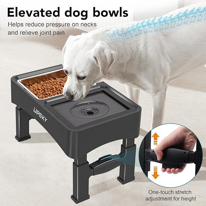 UPSKY Elevated Dog Bowl