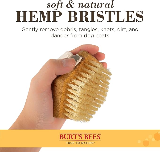Burt's Bees for Pets Palm Brush with Hemp Bristles | Best Ergonomic Dog Brush To Groom Large Dogs | Easy to Hold Dog Brush Handle Reduces Stress On Your Wrist | Ideal for Daily Grooming