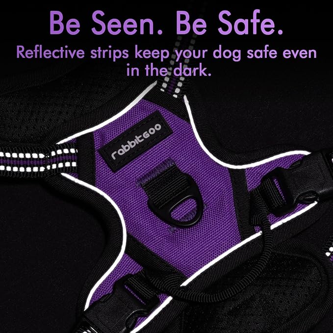 rabbitgoo Dog Harness, No-Pull Pet Harness with 2 Leash Clips, Adjustable Soft Padded Dog Vest, Reflective No-Choke Pet Oxford Vest with Easy Control Handle for Small Dogs, Purple,XS