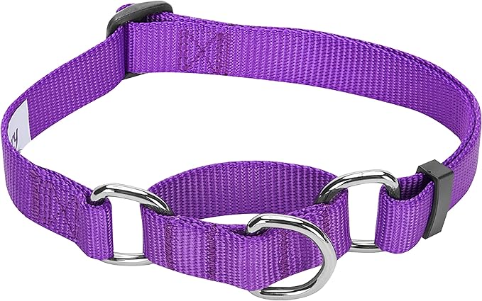Blueberry Pet Essentials Martingale Safety Training Dog Collar, Dark Orchid, Medium, Heavy Duty Nylon Adjustable Collars for Dogs