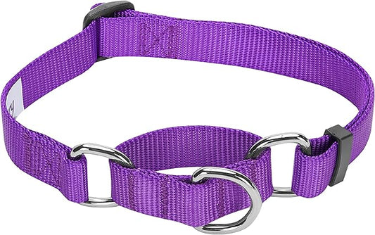 Blueberry Pet Essentials Martingale Safety Training Dog Collar, Dark Orchid, Medium, Heavy Duty Nylon Adjustable Collars for Dogs