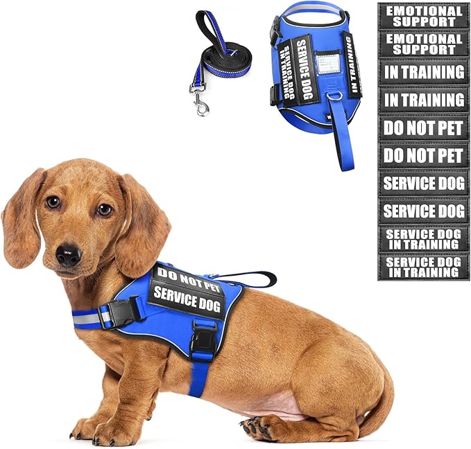 Service Dog Harness and Leash Set, Training Dog Vest with 10 Dog Patches, Emotional Support Therapy Dog Vest Harness for Small Medium Large and Extra Large Dogs(Blue, XS)