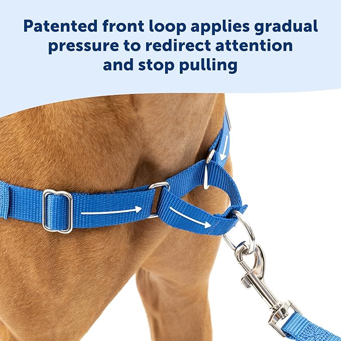 PetSafe Easy Walk No-Pull Dog Harness - The Ultimate Harness to Help Stop Pulling - Take Control & Teach Better Leash Manners - Helps Prevent Pets Pulling on Walks, Medium/Large, Red
