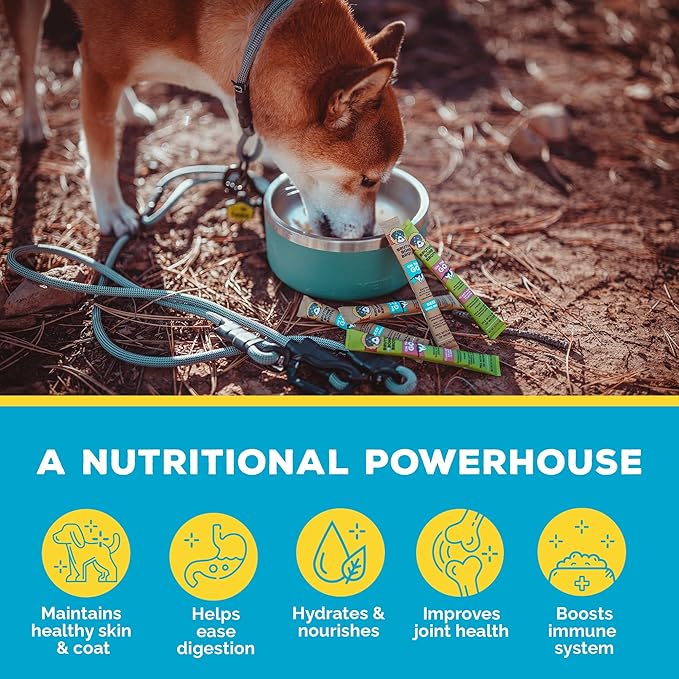 Brutus Bone Broth for Dogs - Bone Broth Powder with Chondroitin Glucosamine & Turmeric - Human Grade Dog Food Toppers for Dry Food & Picky Eaters - 5 Stick (Beef)