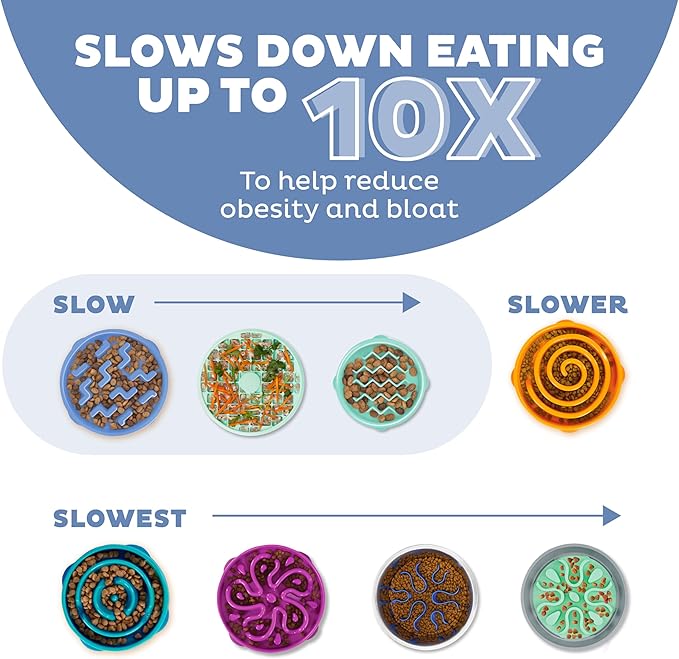 Outward Hound Fun Feeder Slo Bowl, Medium Slow Feeder Dog Bowl, 2 Cups, Blue