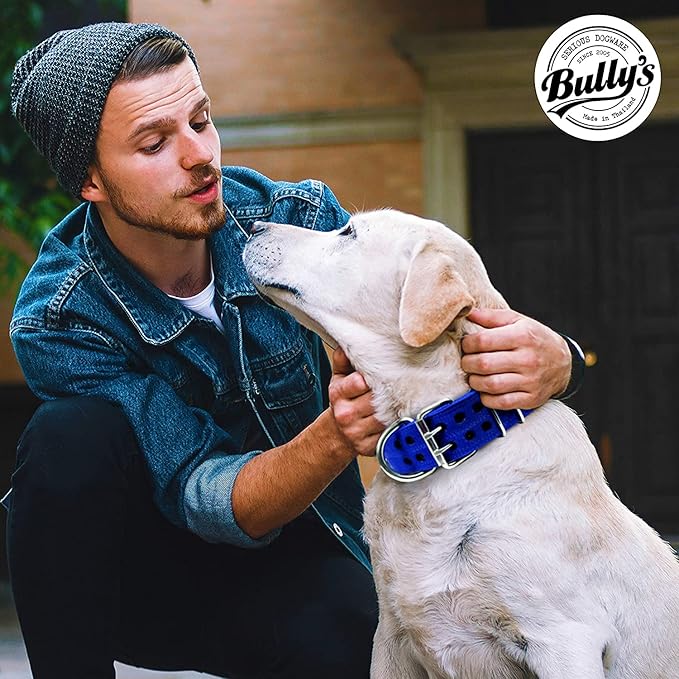 Pit Bull Collar, Dog Collar for Large Dogs, Heavy Duty Nylon, Stainless Steel Hardware (XL-1.5 Inches Wide, Sapphire Blue)