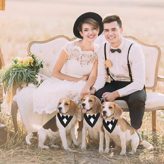 ADOGGYGO Formal Dog Tuxedo Bandana, XS, Black (Wedding, Birthday Costume)