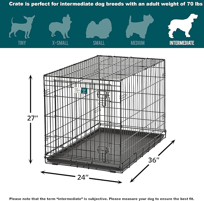 MidWest Homes for Pets Dog Crate | Midwest Life Stages 36' Folding Metal Dog Crate | Divider Panel, Floor Protecting Feet, Leak-Proof Dog Pan | 36L x 23W x 25H Inches, Intermediate Dog Breed, Black