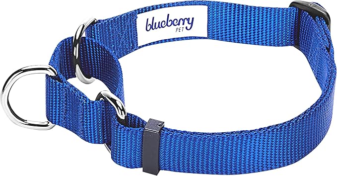 Blueberry Pet Essentials Martingale Safety Training Dog Collar, Royal Blue, X-Large, Heavy Duty Nylon Adjustable Collars for Dogs