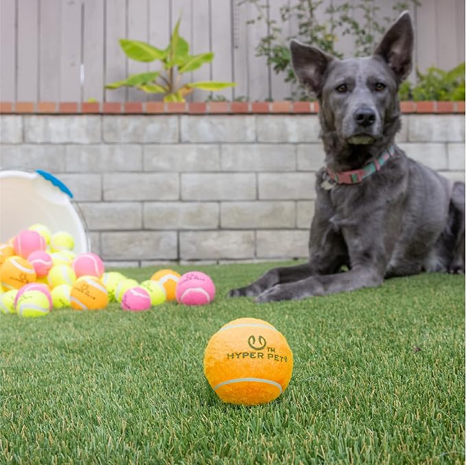 Hyper Pet Tennis Balls for Dogs (Pet Safe Ball for Exercise and Training) Interactive Dog Toys work with Hyper Pet K9 Kannon K2 Dog Ball Launcher - 4 Pack 2.5" Orange