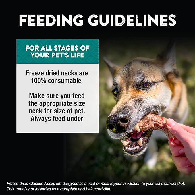 Northwest Naturals Raw Rewards Freeze-Dried Chicken Neck Treats for Dogs and Cats - Bite-Sized Pieces - Healthy, 1 Ingredient, Human Grade Pet Food, All Natural - 4 Oz (Pack of 3)